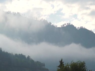Sabah ıslak Dağları'nda kalın sis