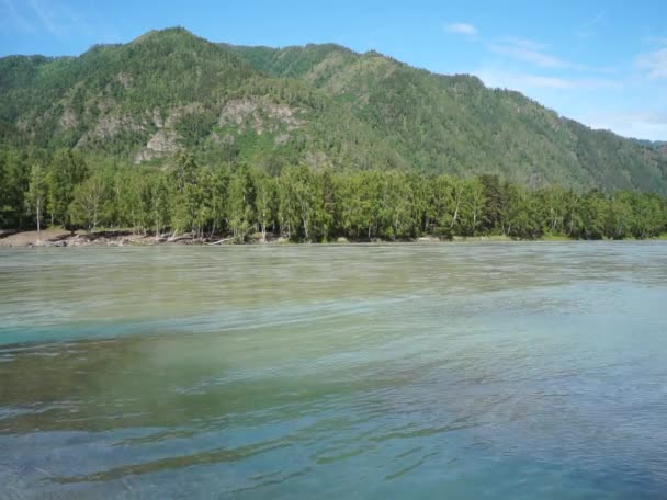 Река течет в травянистых берегах с деревьями — стоковое видео