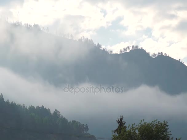 Névoa grossa em montanhas molhadas pela manhã — Vídeo de Stock