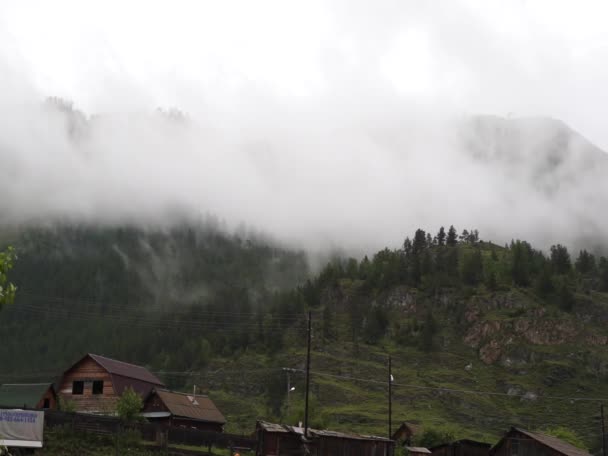 Morgens dichter Nebel in feuchten Bergen — Stockvideo