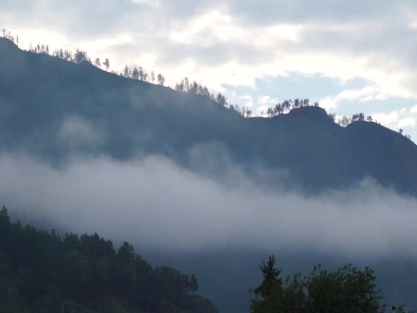 Névoa grossa em montanhas molhadas pela manhã, imagens speedup — Vídeo de Stock