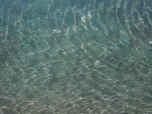 Río claro de montaña con manchas de sol en el agua — Vídeos de Stock