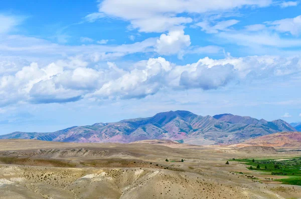 Panoramablick auf die Altaisteppe und die Berge — Stockfoto