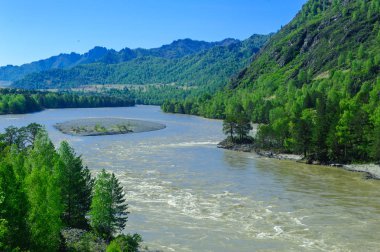 Yaz aylarında orman bankalar arasında akış bir dağ nehir