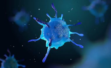 mikroskop altında hücre 3D çizimi