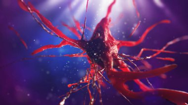 sinir hücre 3D çizimi