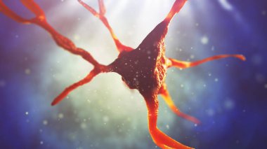 sinir hücre 3D çizimi