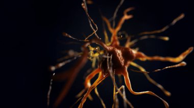 sinir hücre 3D çizimi