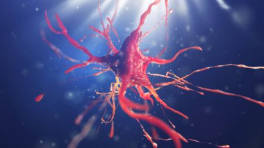 sinir hücre 3D çizimi