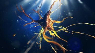 sinir hücre 3D çizimi