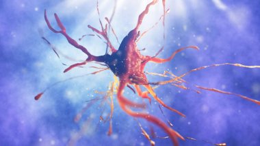 sinir hücre 3D çizimi