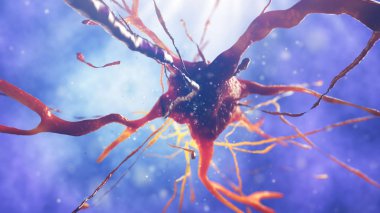 sinir hücre 3D çizimi