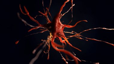 sinir hücre 3D çizimi