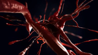 sinir hücre 3D çizimi