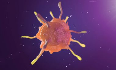 mikroskop altında hücre 3D çizimi