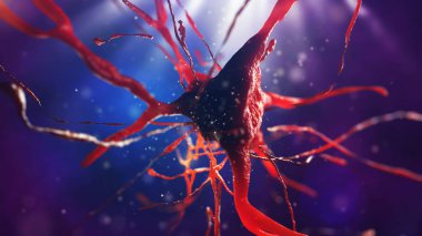 sinir hücre 3D çizimi