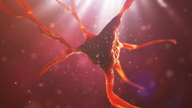 sinir hücre 3D çizimi