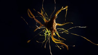 sinir hücre 3D çizimi