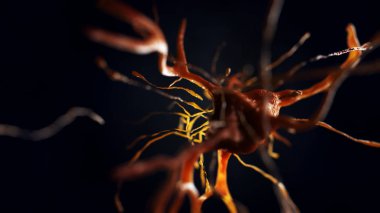 sinir hücre 3D çizimi