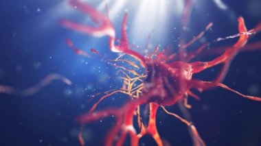 sinir hücre 3D çizimi