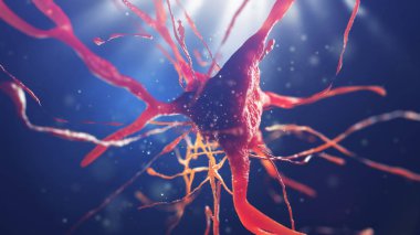 sinir hücre 3D çizimi