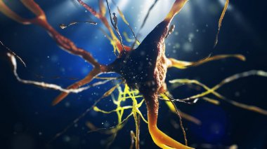 sinir hücre 3D çizimi