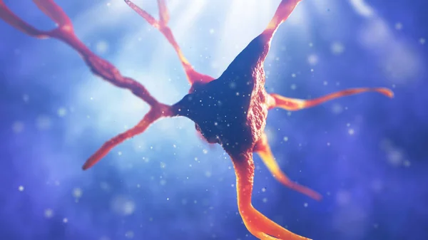 3D απεικόνιση του νευρικού κυττάρου — Φωτογραφία Αρχείου