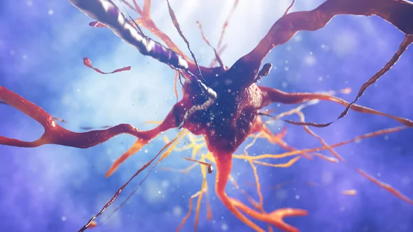 sinir hücre 3D çizimi