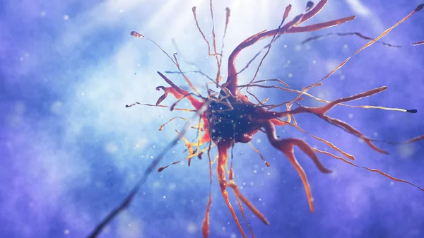 sinir hücre 3D çizimi