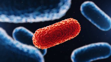 bakteri 3D Illustration. Tıbbi geçmişi