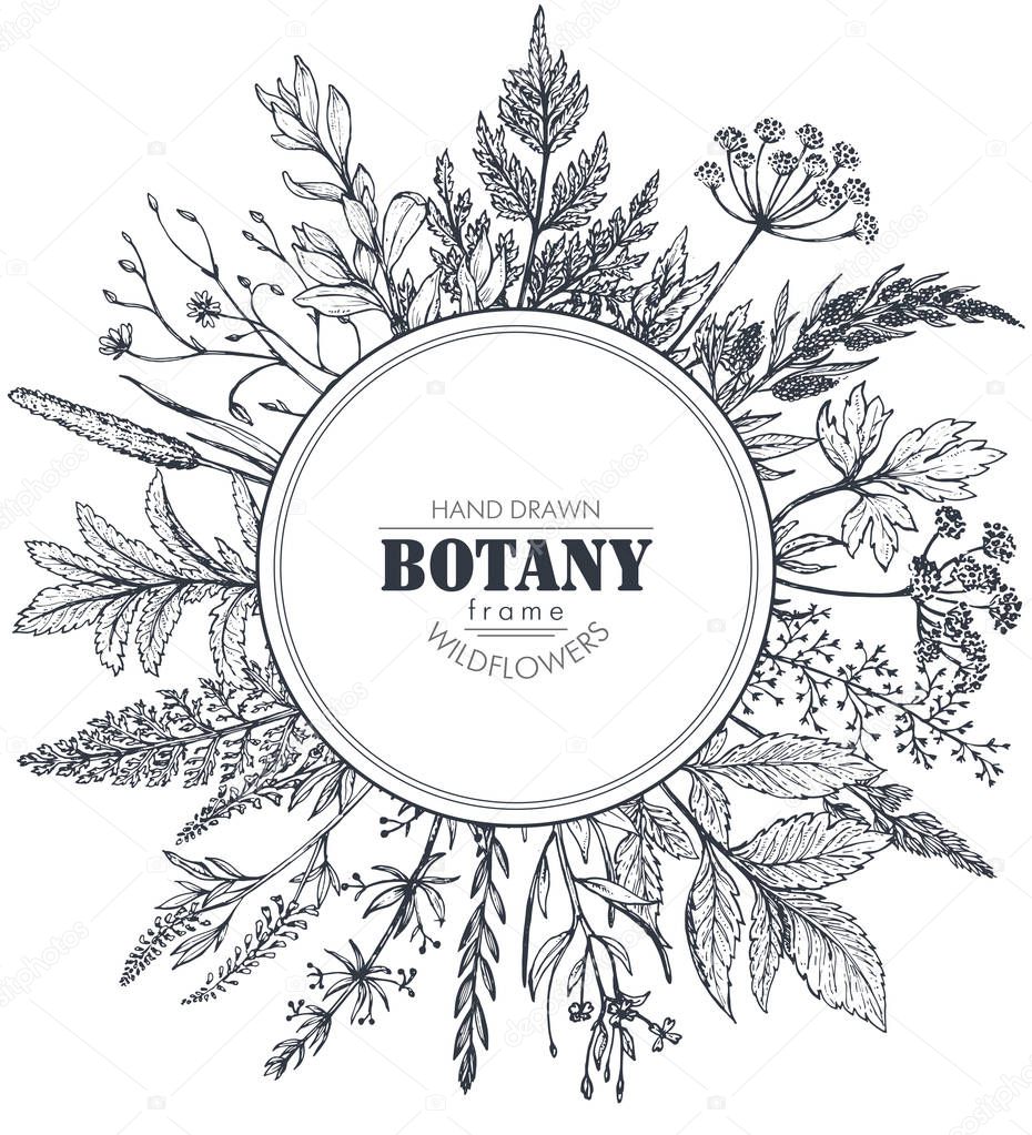 Download Vector circle frame with herb and wildflower elements ...