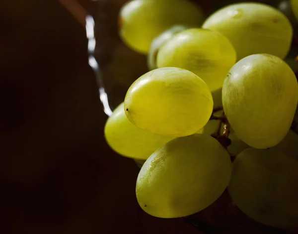 Bunch of white grapes on a dark background.Close-up — Stock Photo, Image