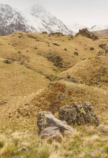 Piste rocheuse de montagne, couverte d'herbe, avec des sommets enneigés en arrière-plan — Photo