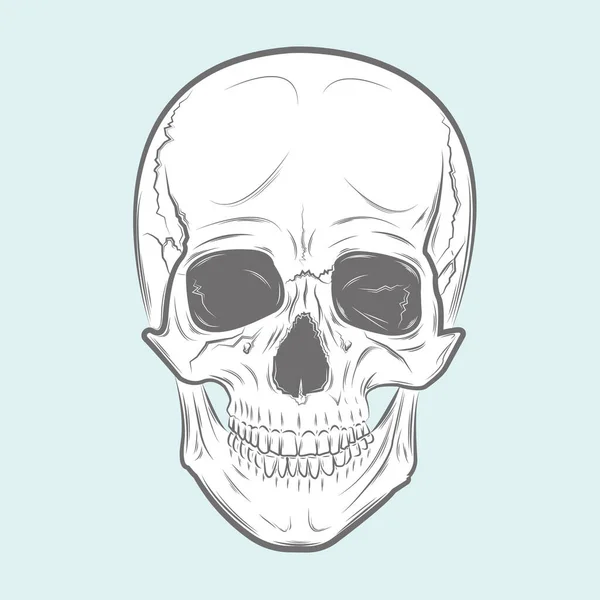 Векторный черно-белый череп — стоковый вектор