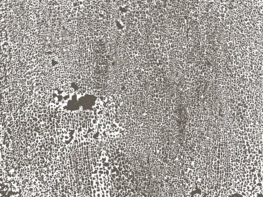 Grunge beyaz ve siyah arkaplan, doku.