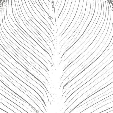 Grunge beyaz ve siyah arkaplan, doku.