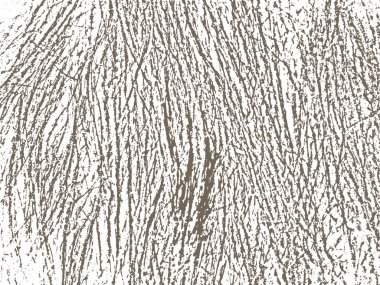 Grunge beyaz ve siyah arkaplan, doku.