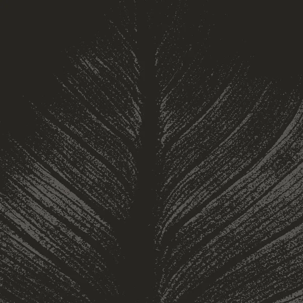 Grunge fondo blanco y negro, textura. — Vector de stock