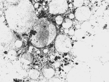 Grunge beyaz ve siyah arkaplan, doku.