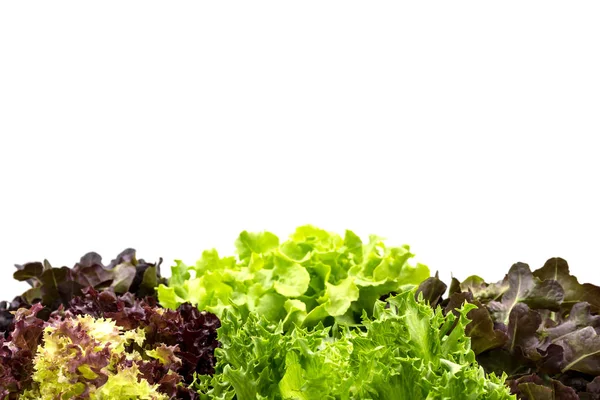 Salata yaprakları ile boşaltmak