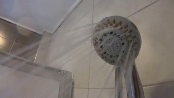 Shower head spraying water in the bathroom close up view — Stockvideo