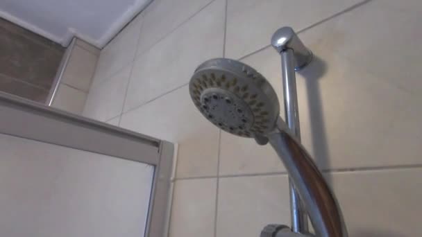 Shower head spraying water in the bathroom close up view — Stockvideo