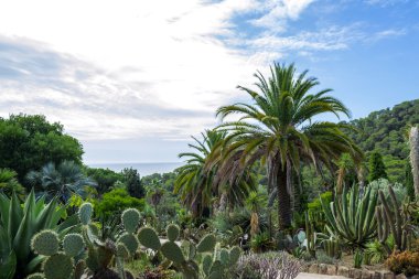 Kaktüs Bahçe Lloret de Mar, Costa Brava, Katalonya, İspanya