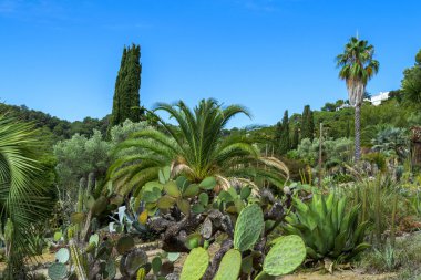 Kaktüs Bahçe Lloret de Mar, Costa Brava, Katalonya, İspanya