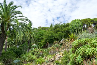 Kaktüs Bahçe Lloret de Mar, Costa Brava, Katalonya, İspanya