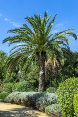 Kaktüs Bahçe Lloret de Mar, Costa Brava, Katalonya, İspanya