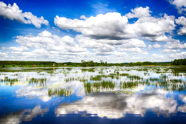 Güzel Doğa Manzarası