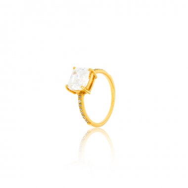 Oekraïense nationale Rode soep