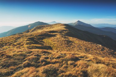 Dağ tepeler sarı sonbahar ciğeri ile kaplı