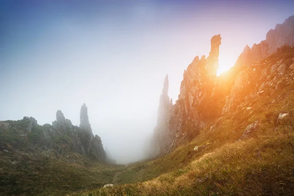 Misty valle de montaña brillando por la luz del sol — Foto de Stock